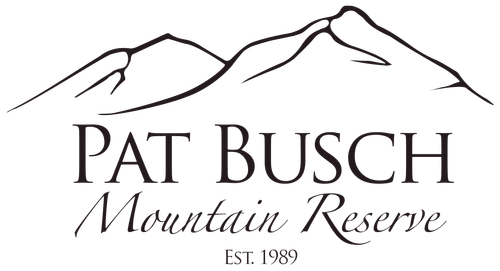 Pat Busch